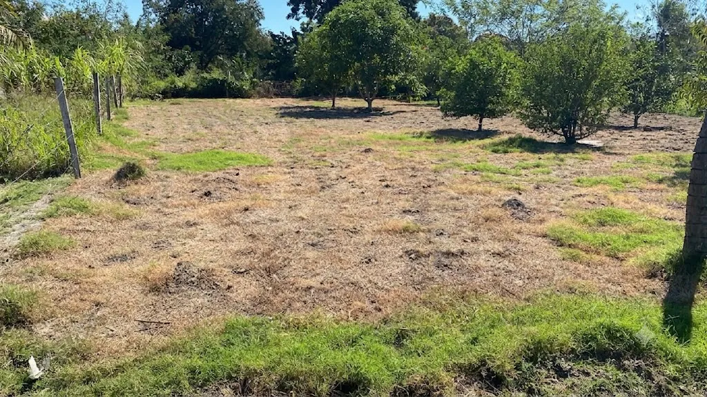 Foto 3 de ✨ ¡Oportunidad Única de Inversión Terreno en Portachuelo!