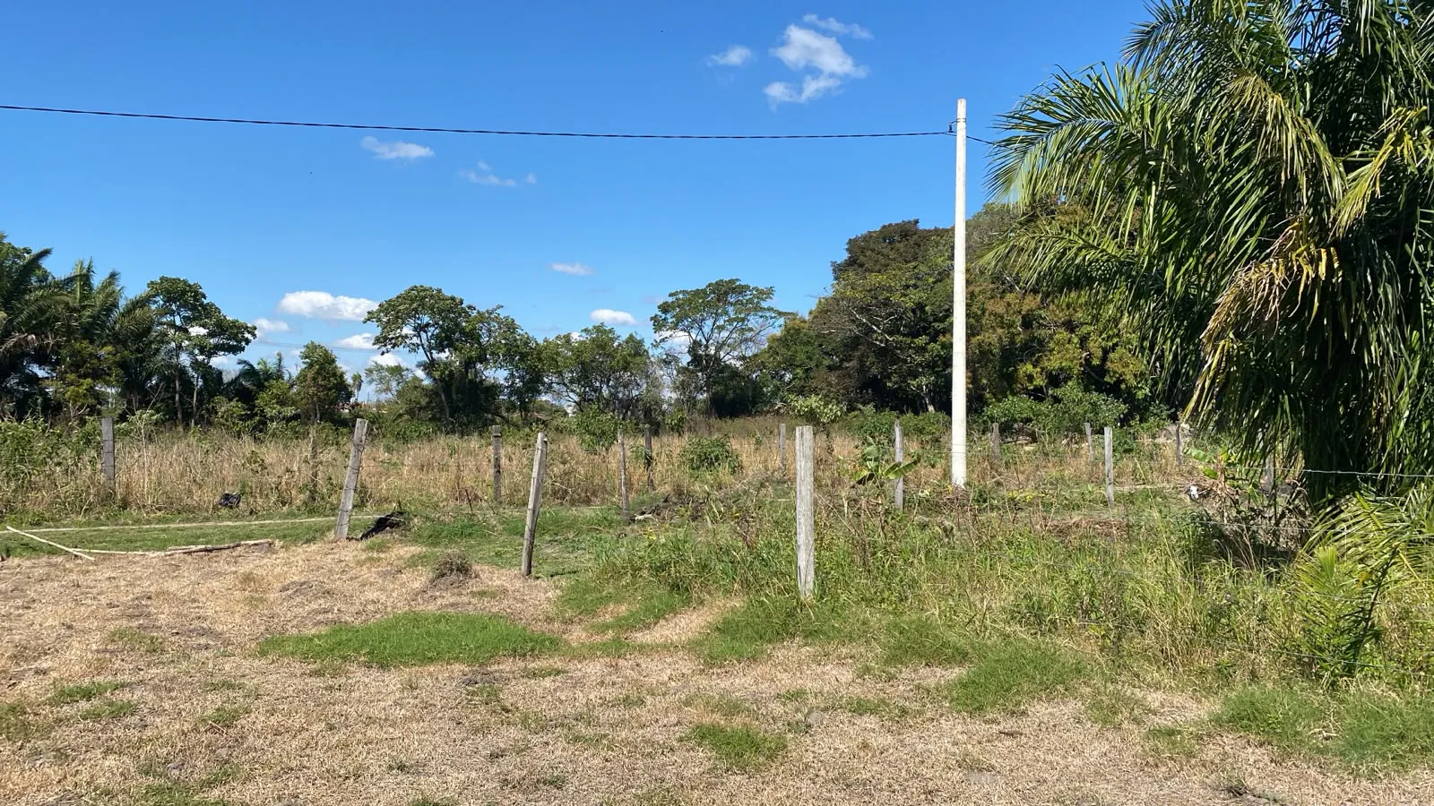 Foto 2 de ✨ ¡Oportunidad Única de Inversión Terreno en Portachuelo!