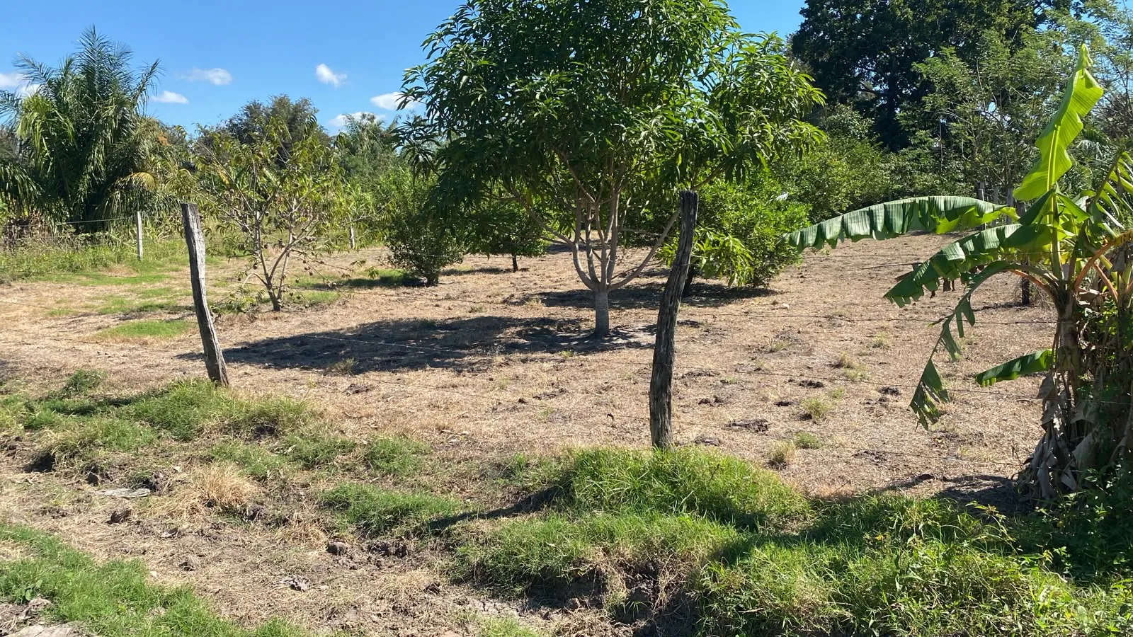 Foto 4 de ✨ ¡Oportunidad Única de Inversión Terreno en Portachuelo!