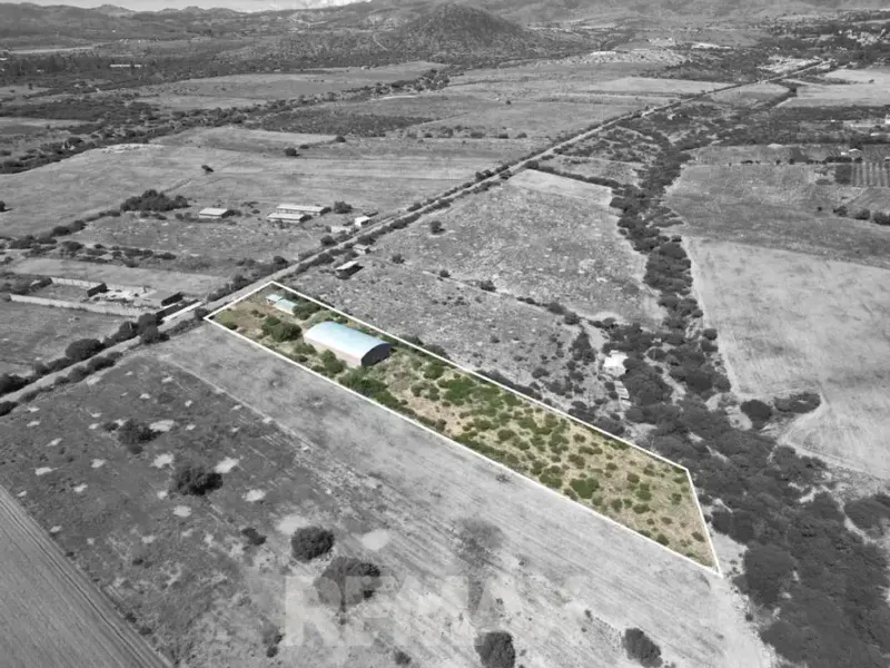 Foto 18 de Galpón y Terreno Agrícola en Venta en Cliza