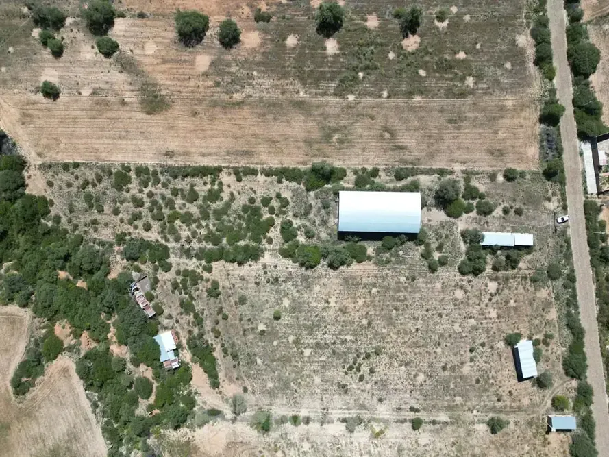 Foto 14 de Galpón y Terreno Agrícola en Venta en Cliza