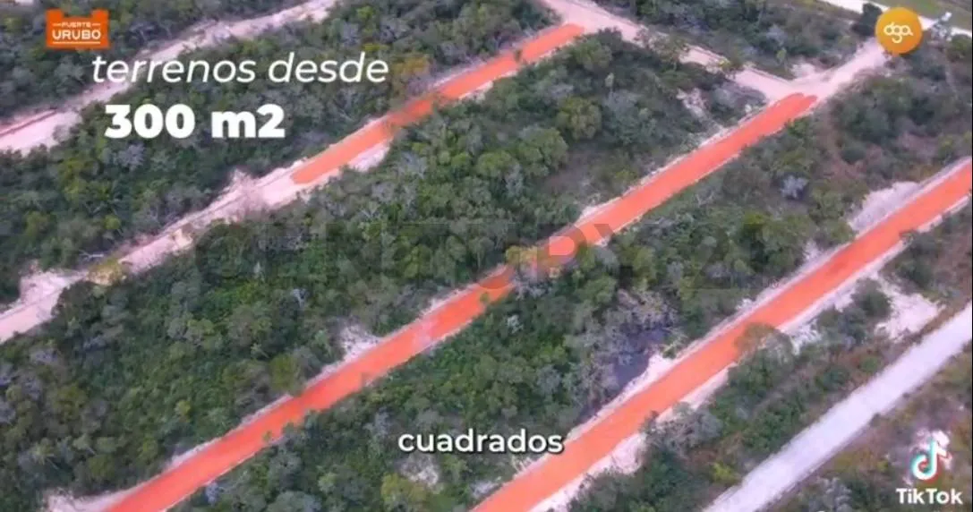 Foto 4 de terreno en traspaso