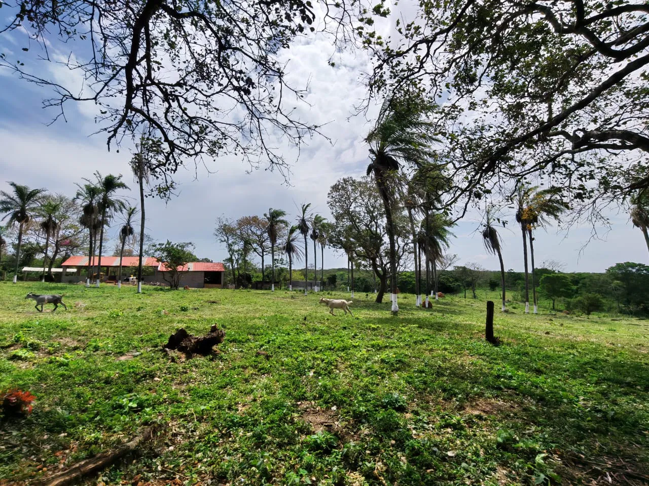 Foto 20 de Oportunidad para Visionarios: Tierra, agua garantizada en cantidad y proyectos de alto impacto listos para despegar.*