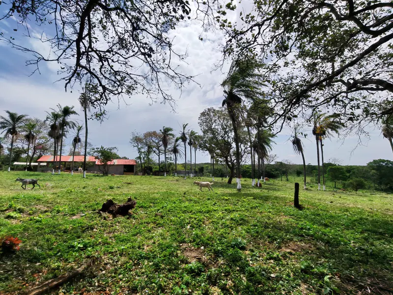 Foto 20 de Oportunidad para Visionarios: Tierra, agua garantizada en cantidad y proyectos de alto impacto listos para despegar.*