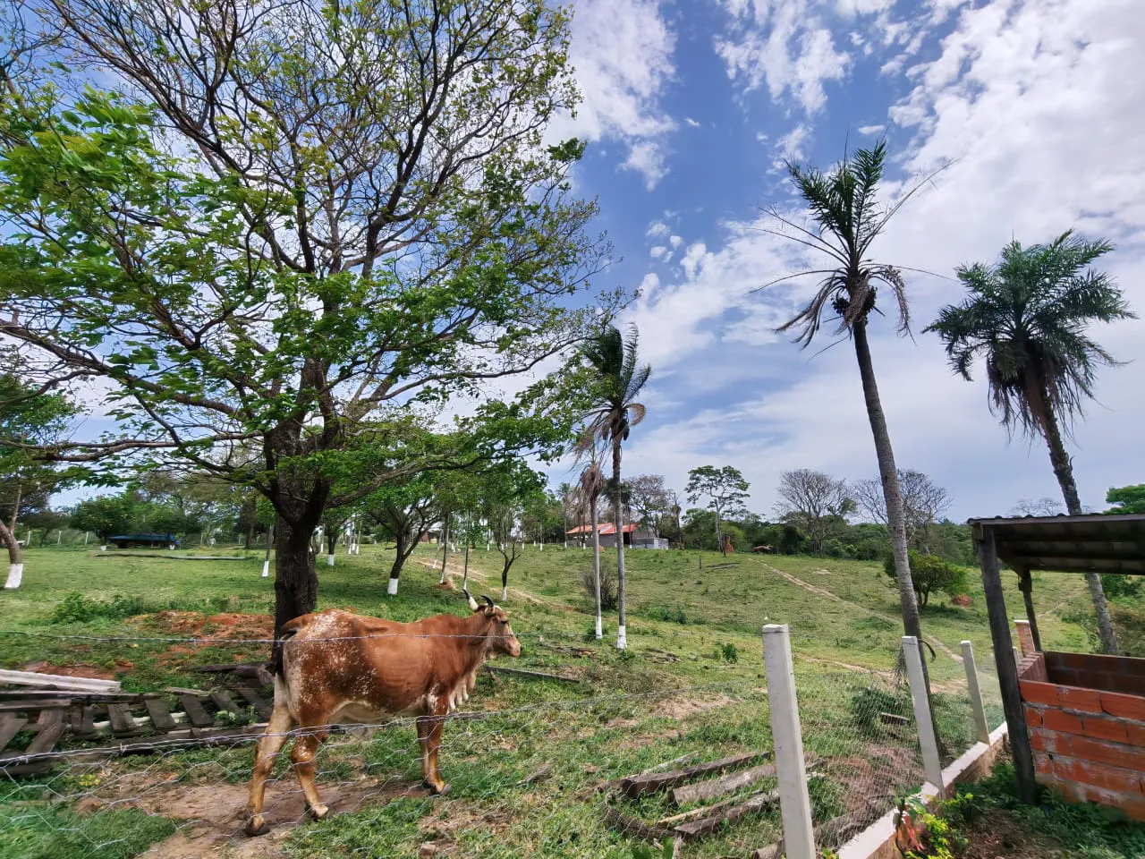 Foto 13 de Oportunidad para Visionarios: Tierra, agua garantizada en cantidad y proyectos de alto impacto listos para despegar.*