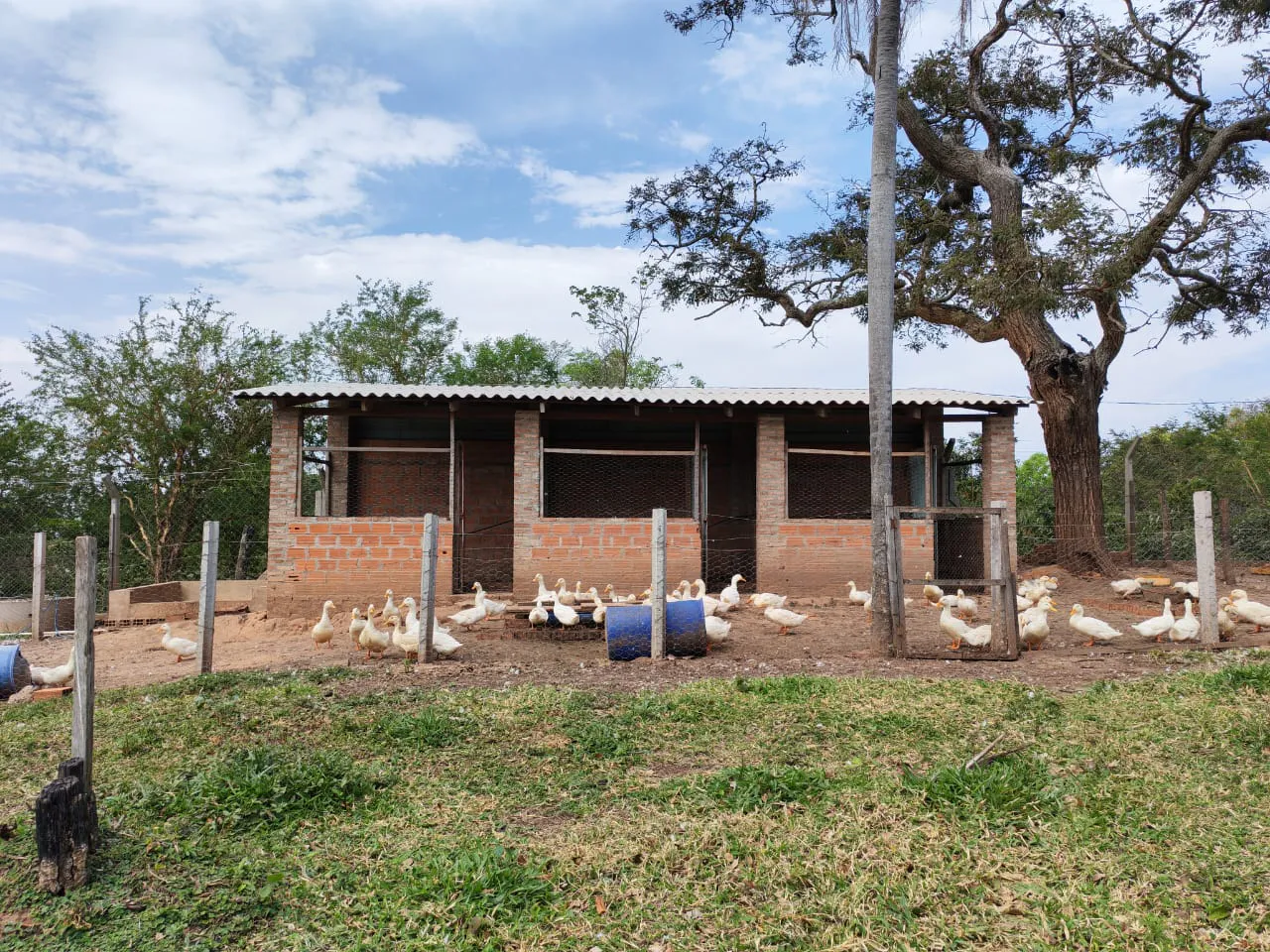 Foto 16 de Oportunidad para Visionarios: Tierra, agua garantizada en cantidad y proyectos de alto impacto listos para despegar.*