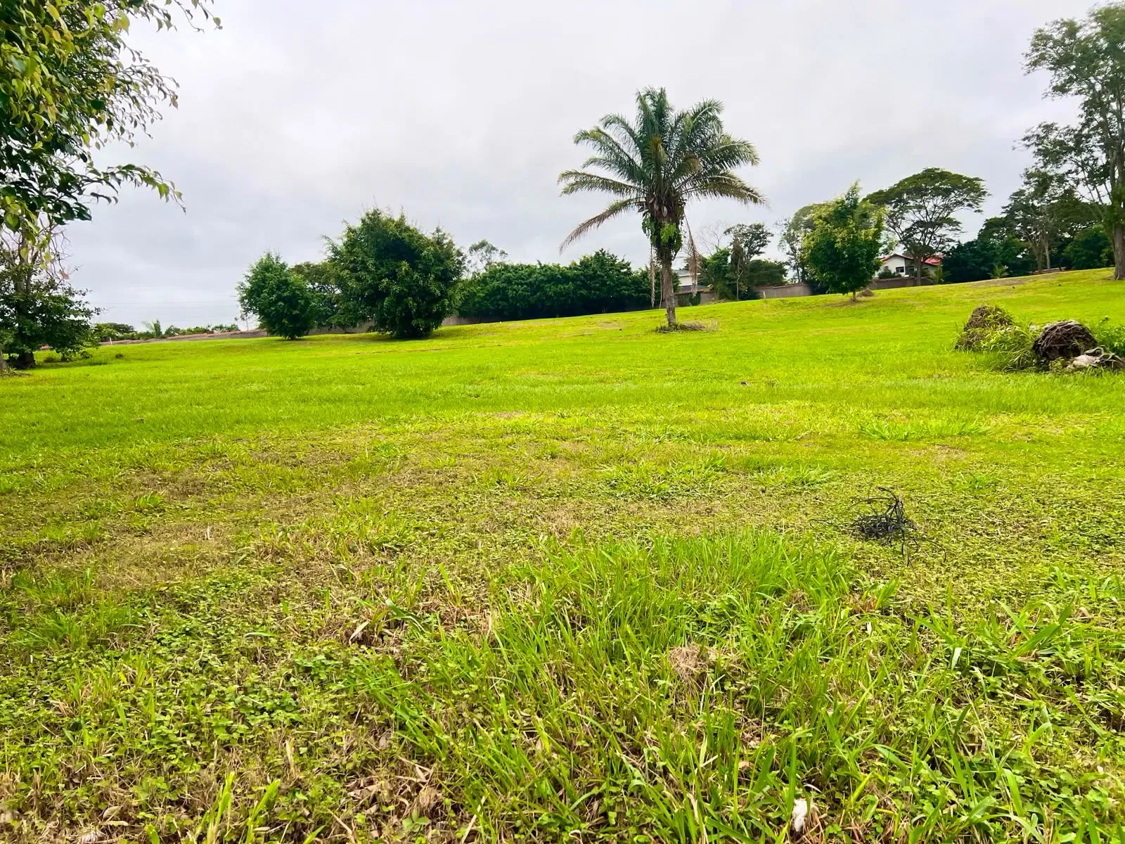 Foto 1 de Terreno en venta Urubo Golf