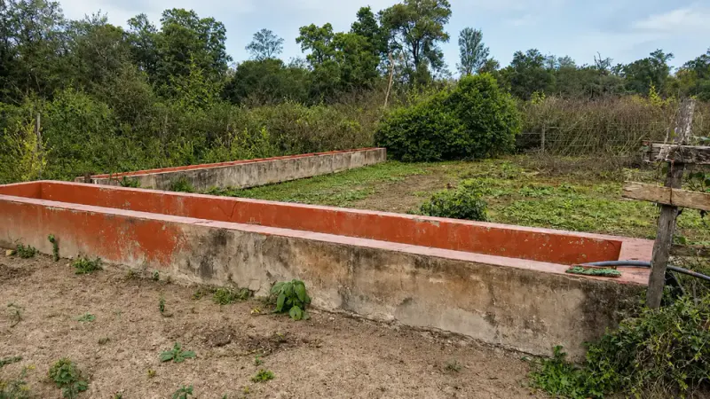 Foto 8 de Propiedad agrícola y ganadera en Cabezas con infraestructura y potencial productivo
