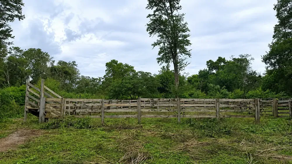 Foto 9 de Propiedad agrícola y ganadera en Cabezas con infraestructura y potencial productivo