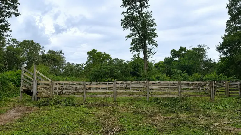 Foto 9 de Propiedad agrícola y ganadera en Cabezas con infraestructura y potencial productivo
