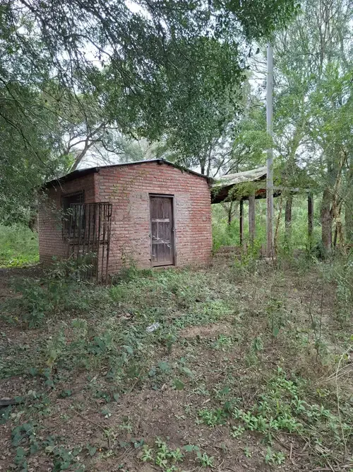Foto 11 de Propiedad agrícola y ganadera en Cabezas con infraestructura y potencial productivo