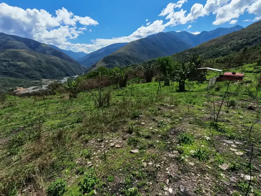 Foto 5 de Lotes en Venta Coroico
