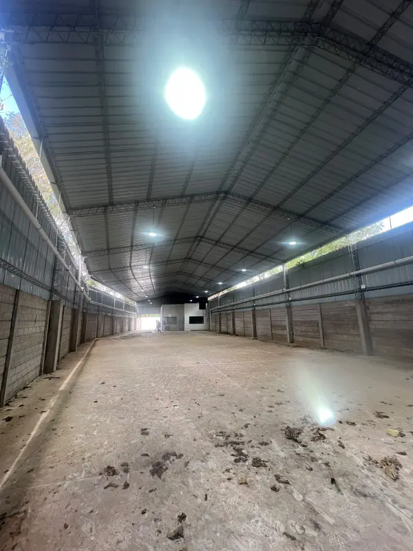 Foto 6 de Galpon en Alquiler o Venta