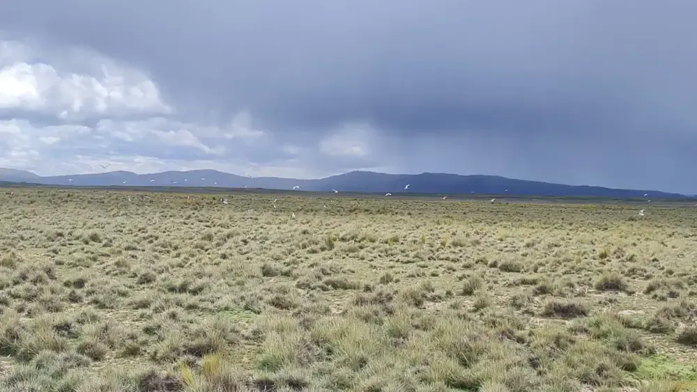 Foto 3 de Propiedad agrícola y ganadera de 412 hectáreas con acceso a salar en Viacha