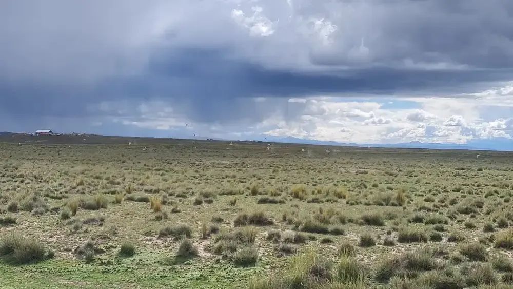 Foto 7 de Propiedad agrícola y ganadera de 412 hectáreas con acceso a salar en Viacha
