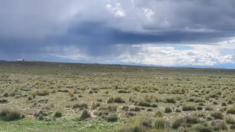 Foto 7 de Propiedad agrícola y ganadera de 412 hectáreas con acceso a salar en Viacha