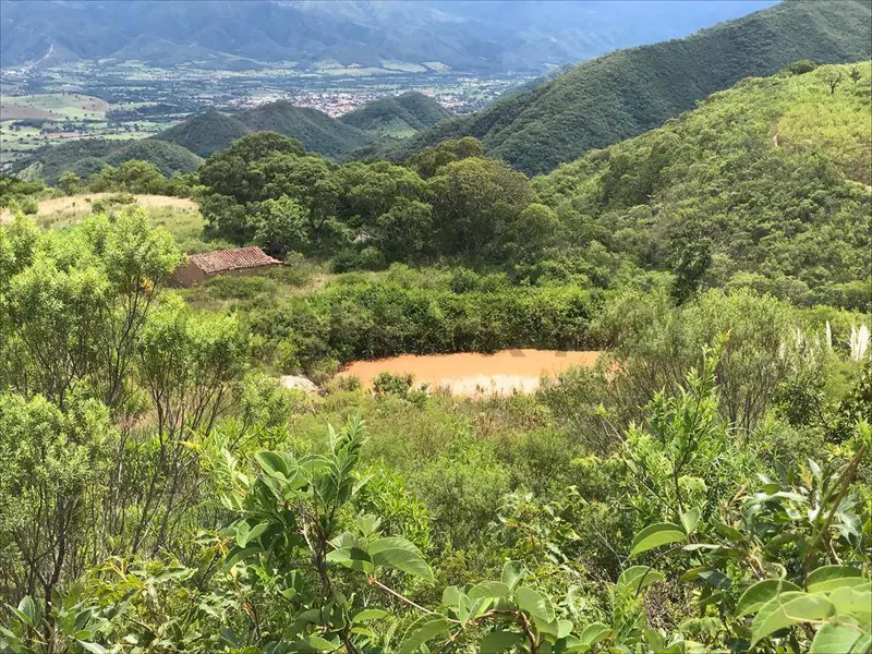 Foto 9 de Una Quinta en Samaipata de 4 Hectáreas