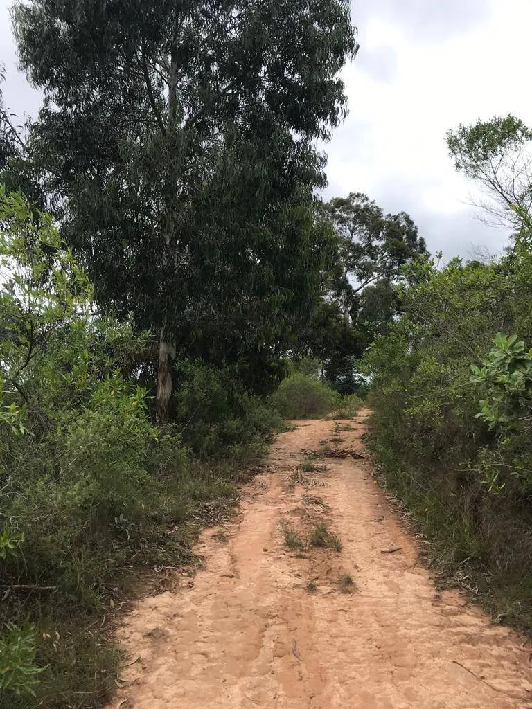 Foto 6 de Una Quinta en Samaipata de 4 Hectáreas