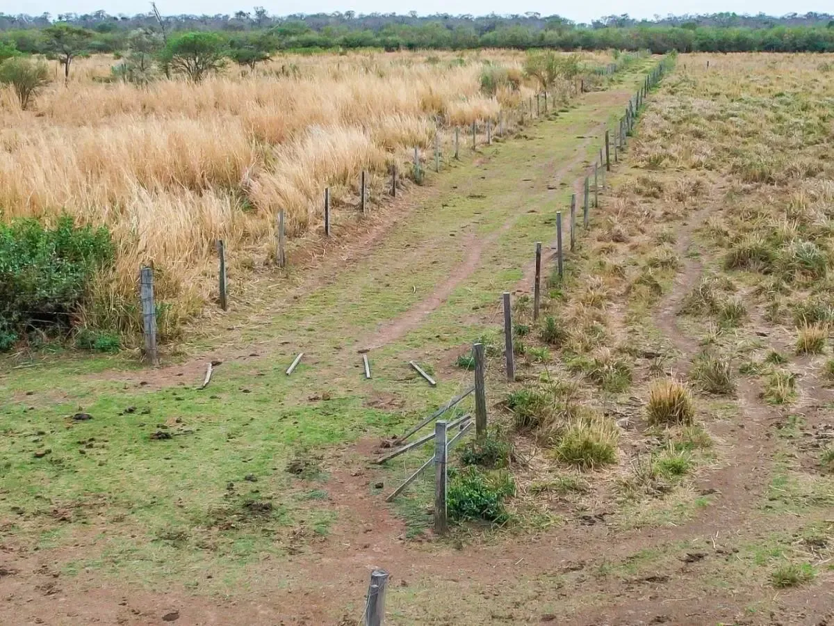 Foto 1 de En Venta Propiedad Agrícola-Ganadera en Okinawa 3