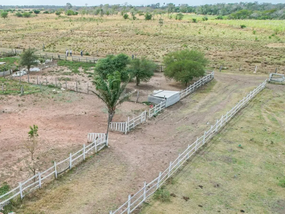 Foto 4 de En Venta Propiedad Agrícola-Ganadera en Okinawa 3