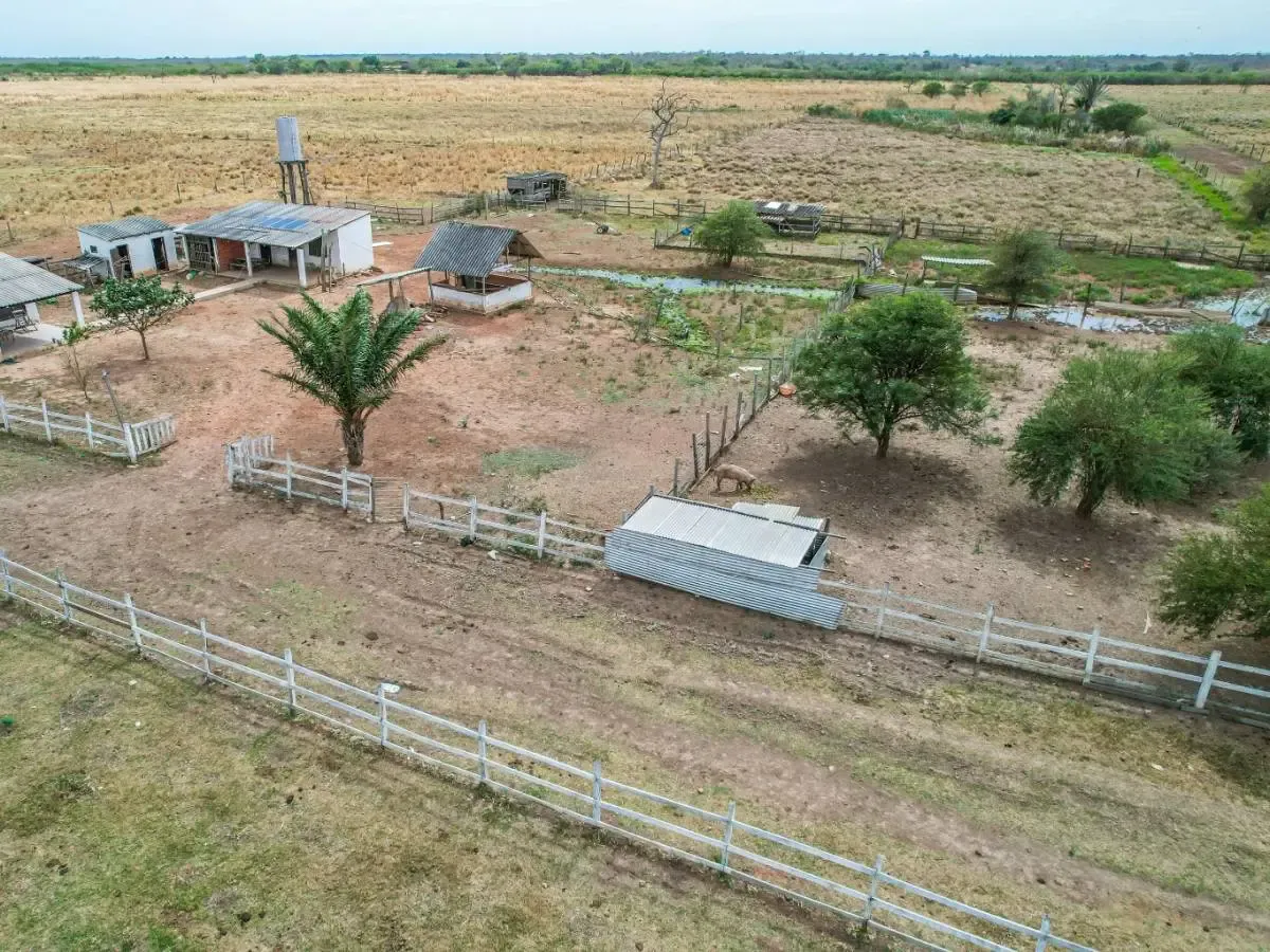 Foto 5 de En Venta Propiedad Agrícola-Ganadera en Okinawa 3