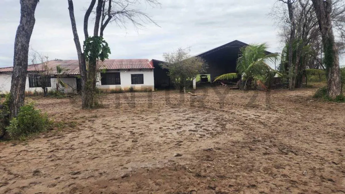 Foto 3 de 152 Hectáreas Agroganaderas en Venta en la zona sur de Santa Cruz