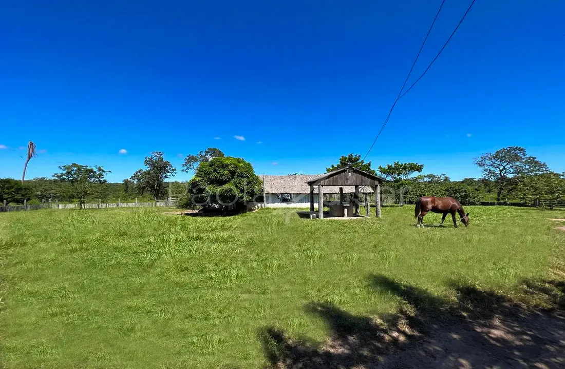 Foto 2 de Propiedad agricola ganadera en venta en la frontera con Brasil
