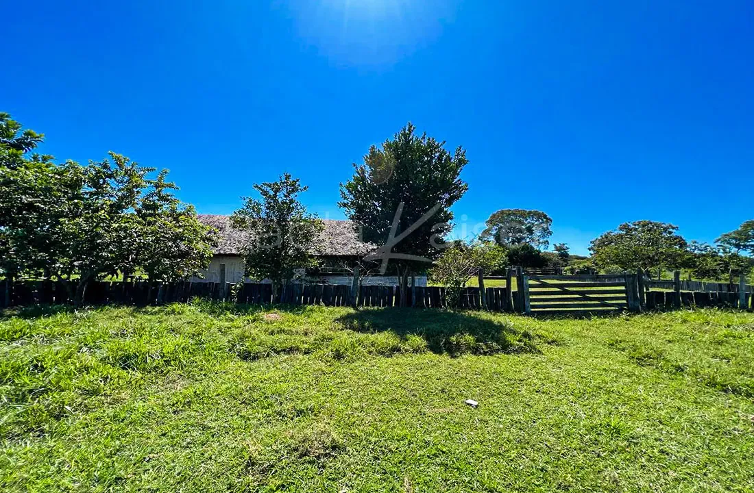 Foto 4 de Propiedad agricola ganadera en venta en la frontera con Brasil