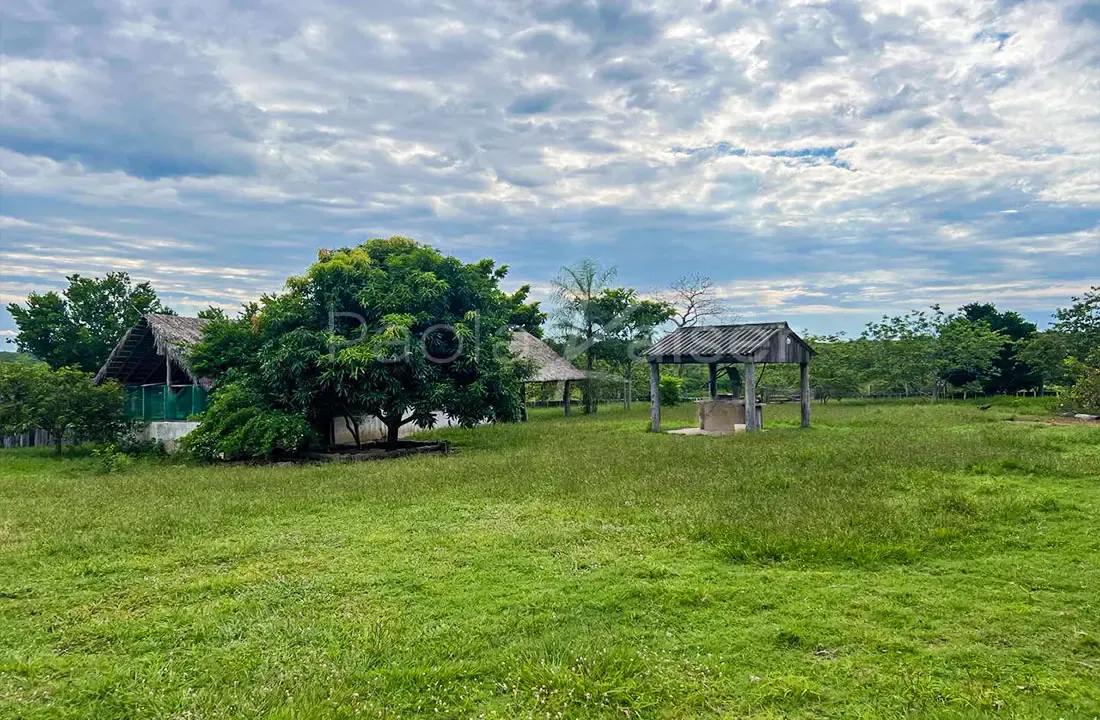 Foto 5 de Propiedad agricola ganadera en venta en la frontera con Brasil
