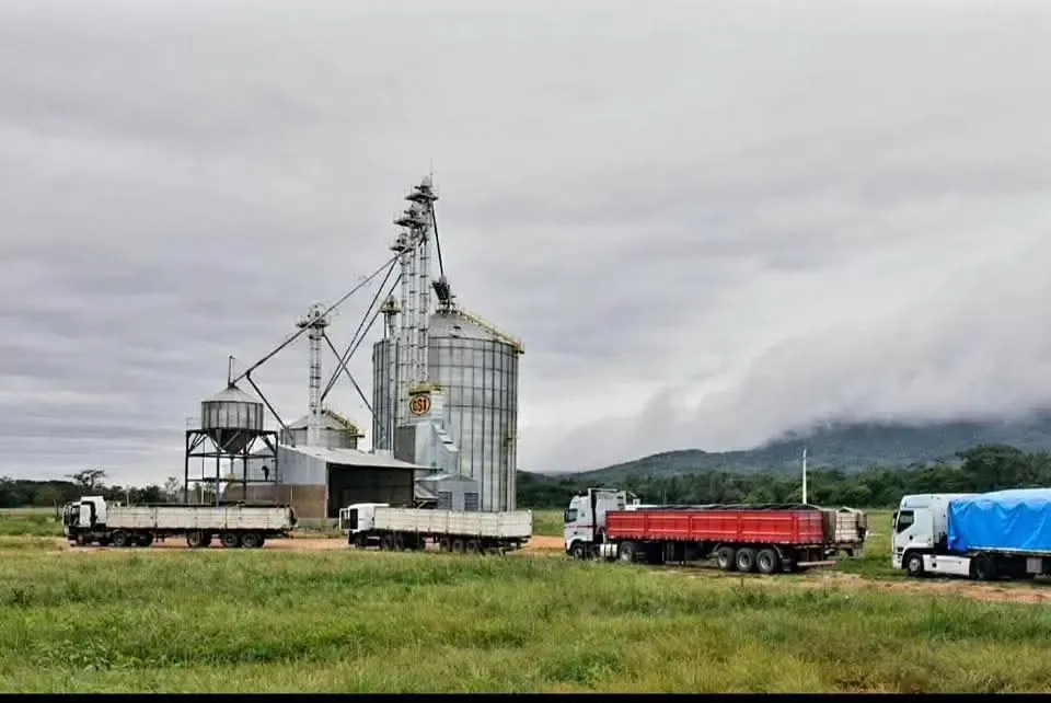 Foto 4 de Se Vende Planta De Silos Gsi – Industria Brasilera