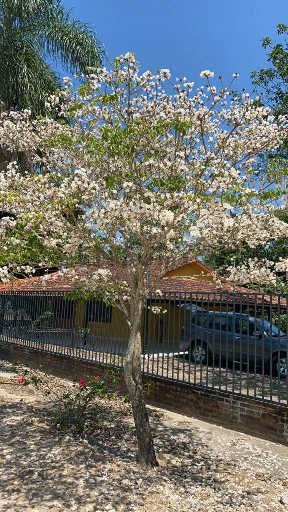 Foto 2 de Casa en Venta en Municipio de San Carlos
