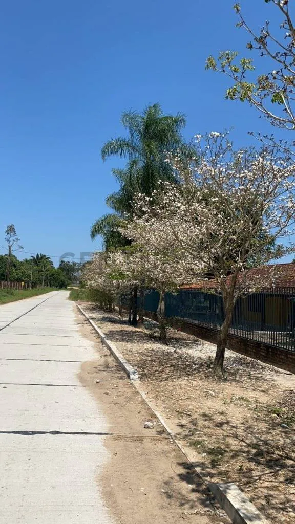 Foto 3 de Casa en Venta en Municipio de San Carlos
