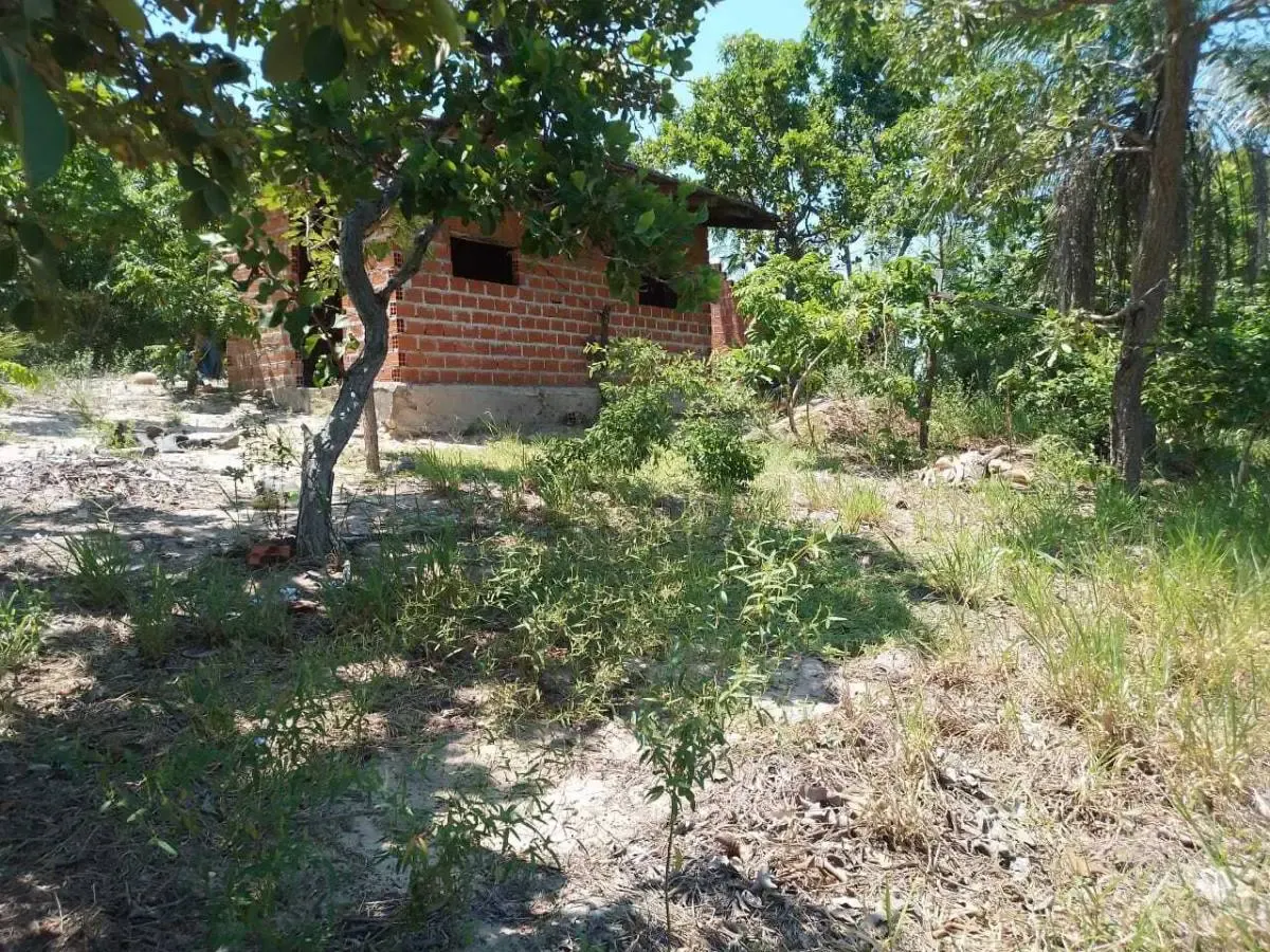 Foto 5 de Propiedad Agricola- Buena Vista 29.63 Hectareas Tituladas