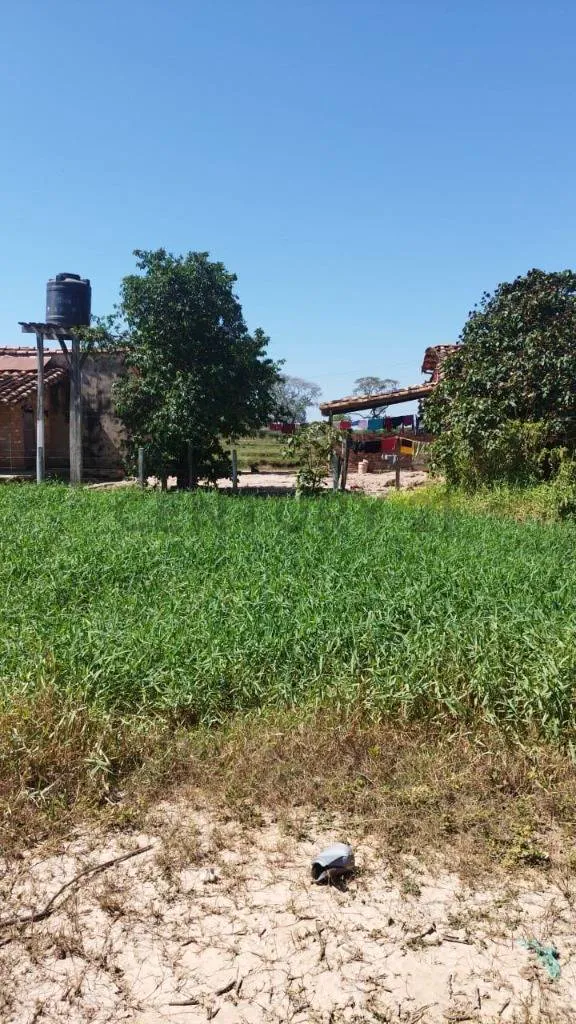 Foto 3 de Lecheria en Venta