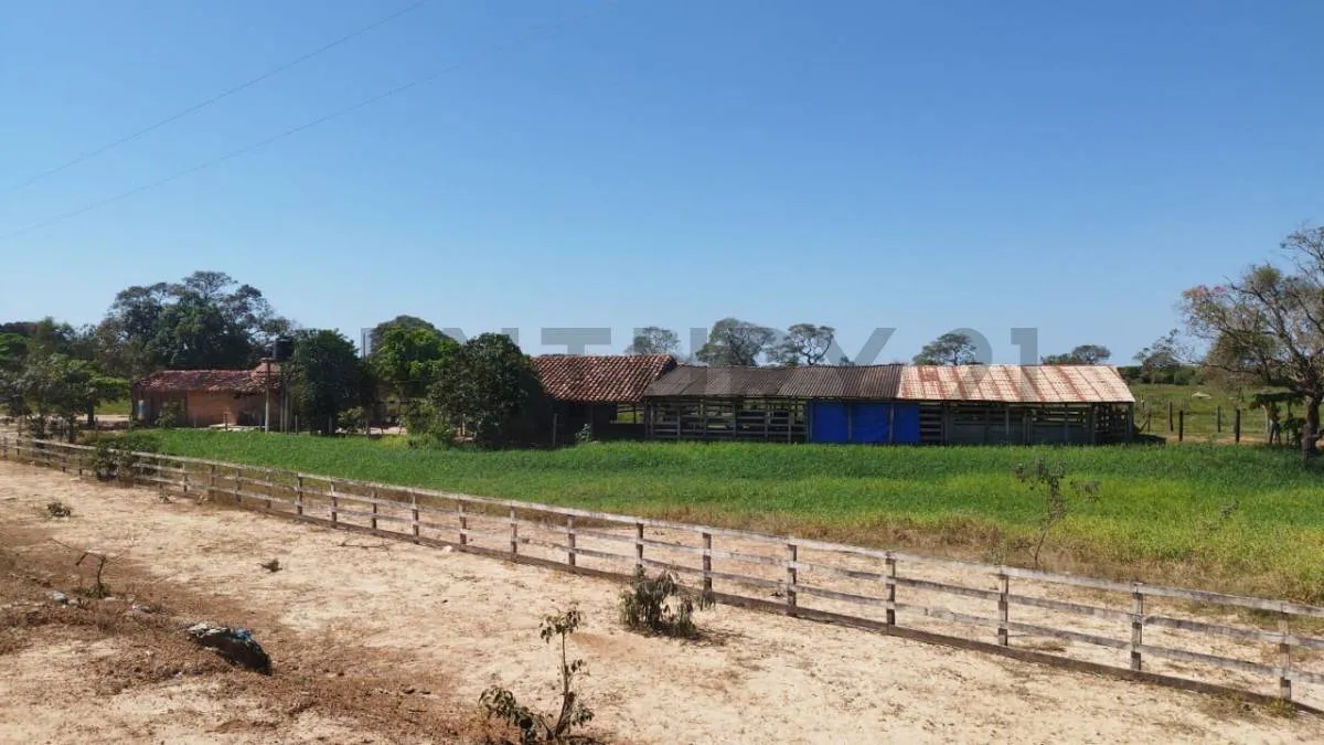 Foto 4 de Lecheria en Venta