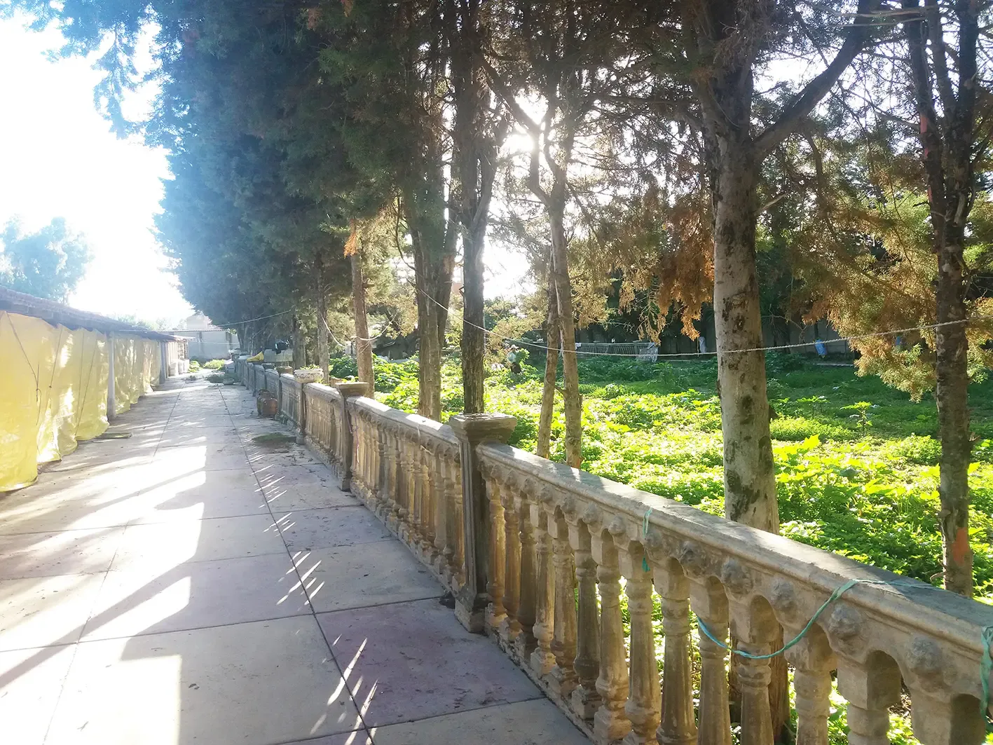 Foto 5 de Av. Victor Ustariz Km 9 Altura Mercado Campesino 4274m2 - 92dolares/m2