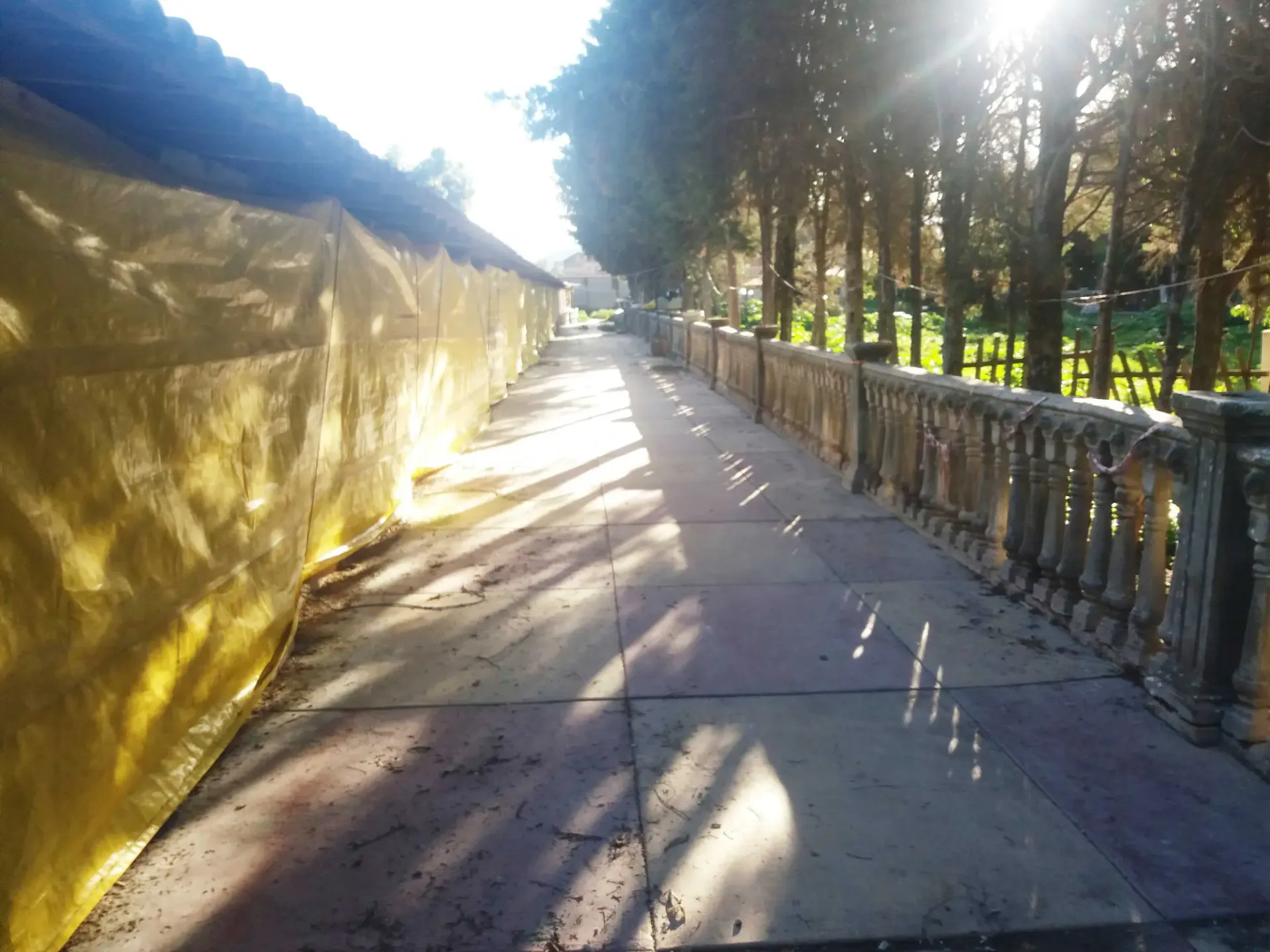 Foto 4 de Av. Victor Ustariz Km 9 Altura Mercado Campesino 4274m2 - 92dolares/m2