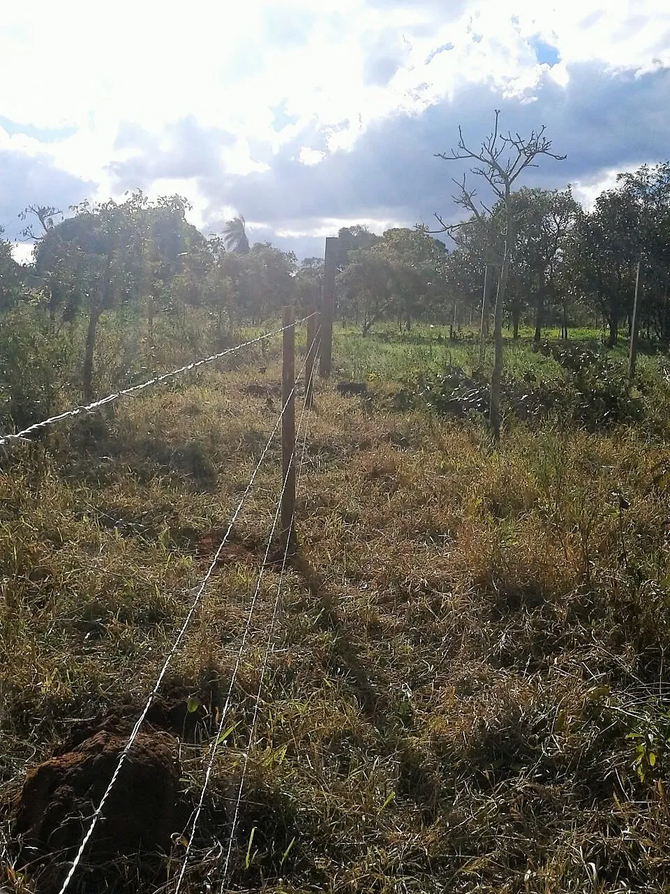 Foto 3 de Terreno en Venta en Santiago de Chiquitos
