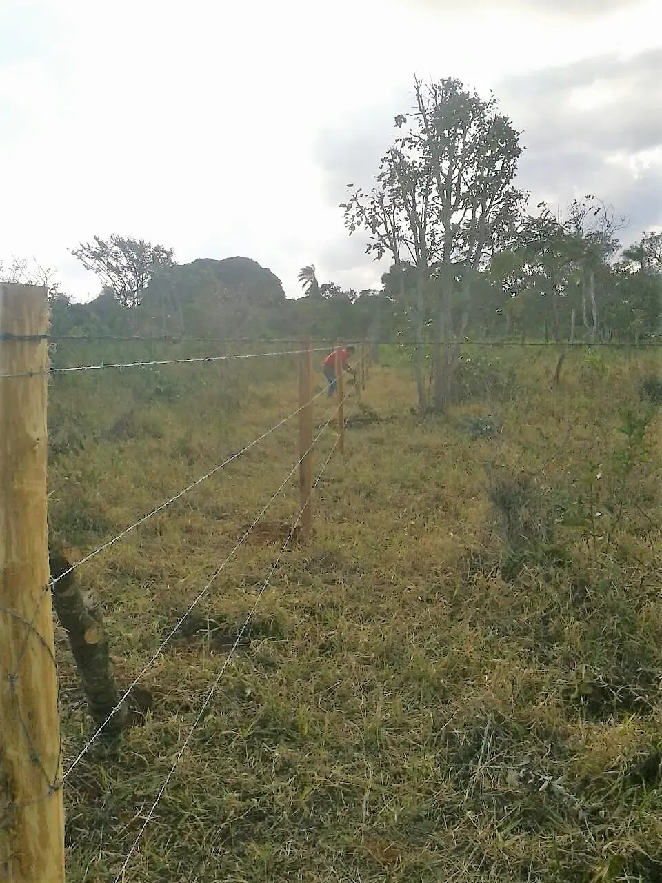 Foto 4 de Terreno en Venta en Santiago de Chiquitos