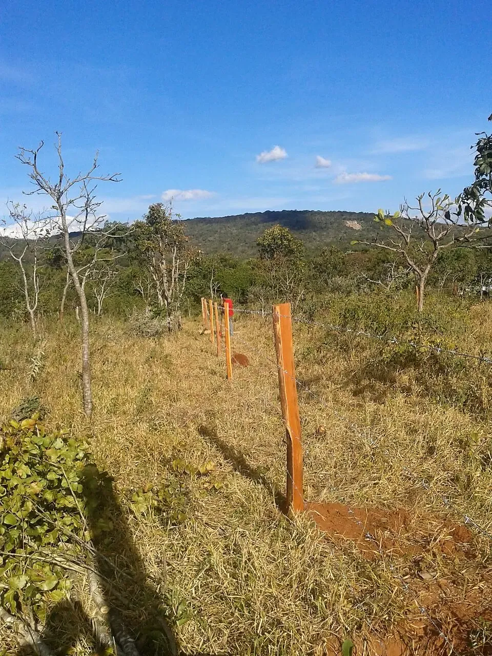 Foto 2 de Terreno en Venta en Santiago de Chiquitos