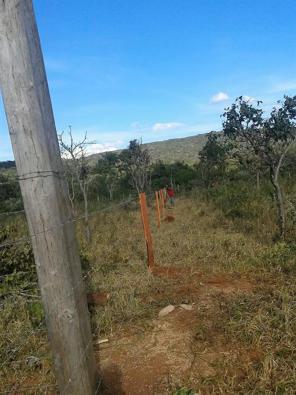 Foto 5 de Terreno en Venta en Santiago de Chiquitos