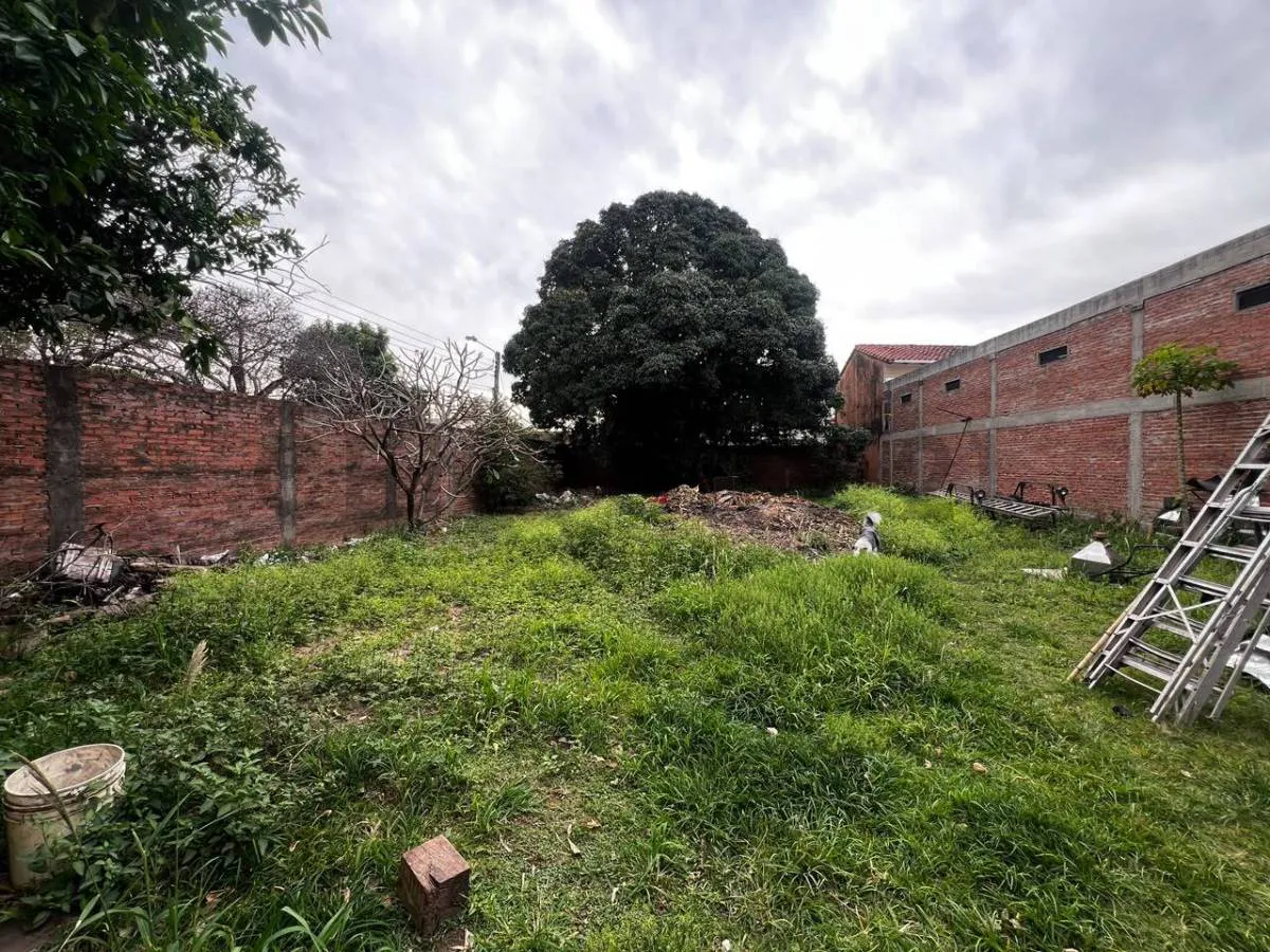 Foto 4 de Terreno en Alquiler