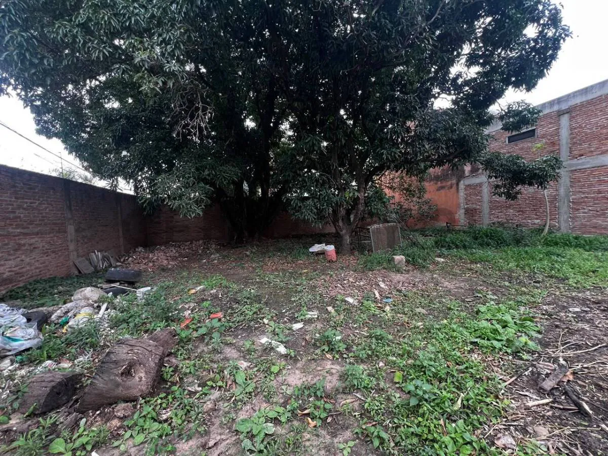 Foto 5 de Terreno en Alquiler