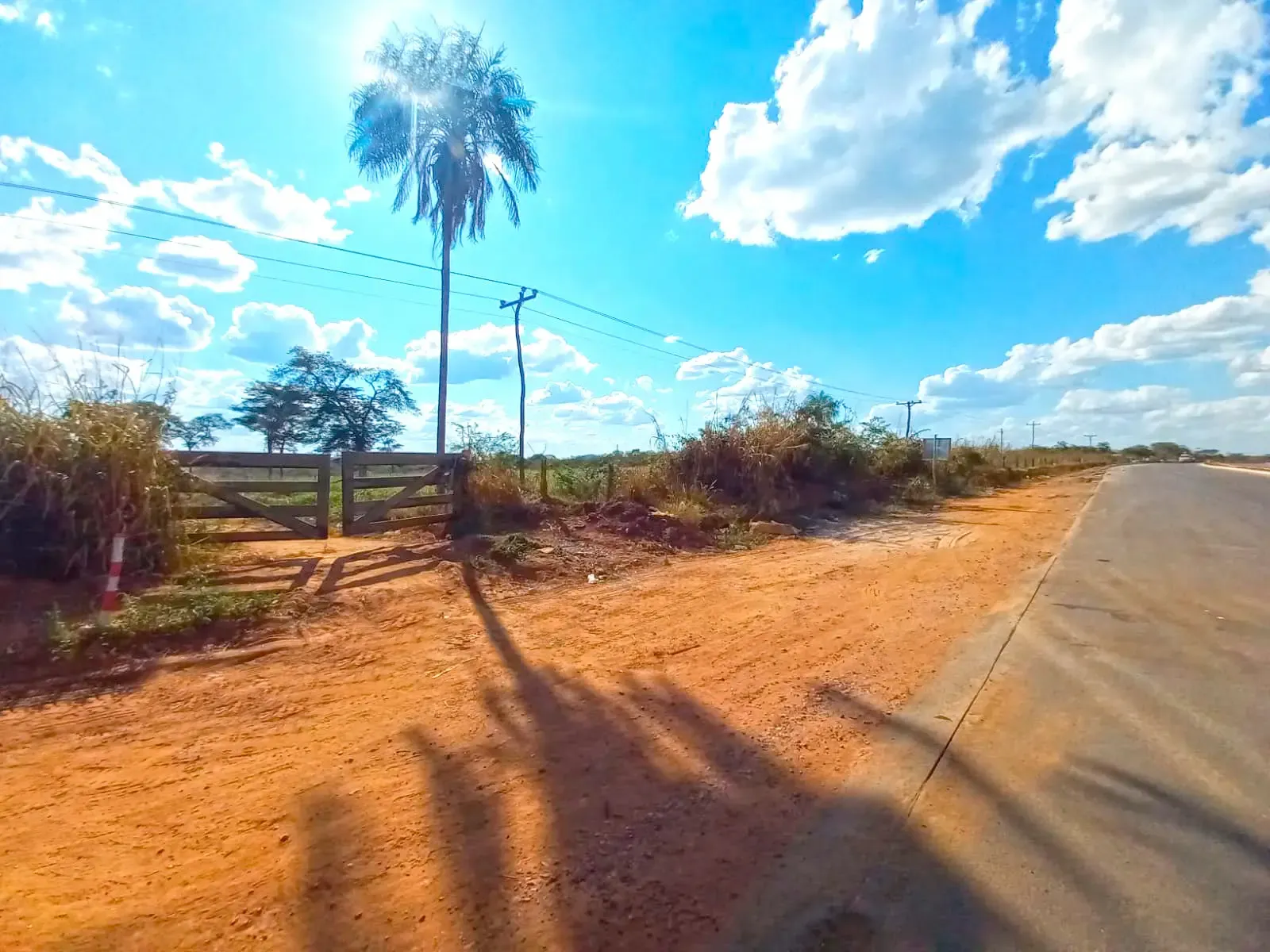 Foto 4 de Terreno en Venta en San Ignacio de Velasco!!