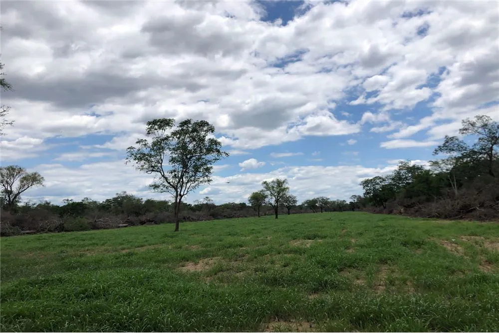 Foto 1 de Propiedad Ganadera en Venta Abapó