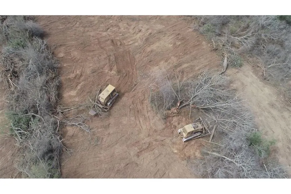 Foto 5 de Propiedad Ganadera en Venta Abapó