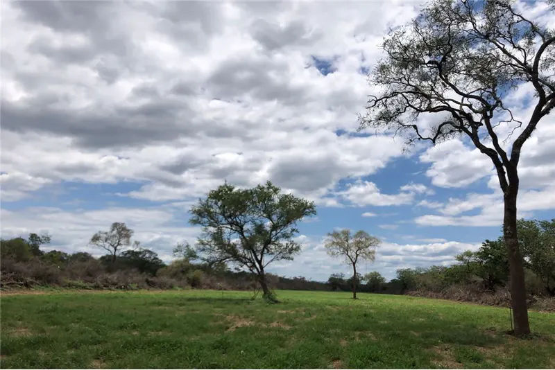 Foto 9 de Propiedad Ganadera en Venta Abapó