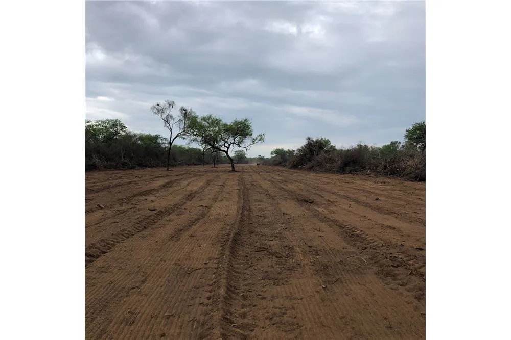 Foto 7 de Propiedad Ganadera en Venta Abapó