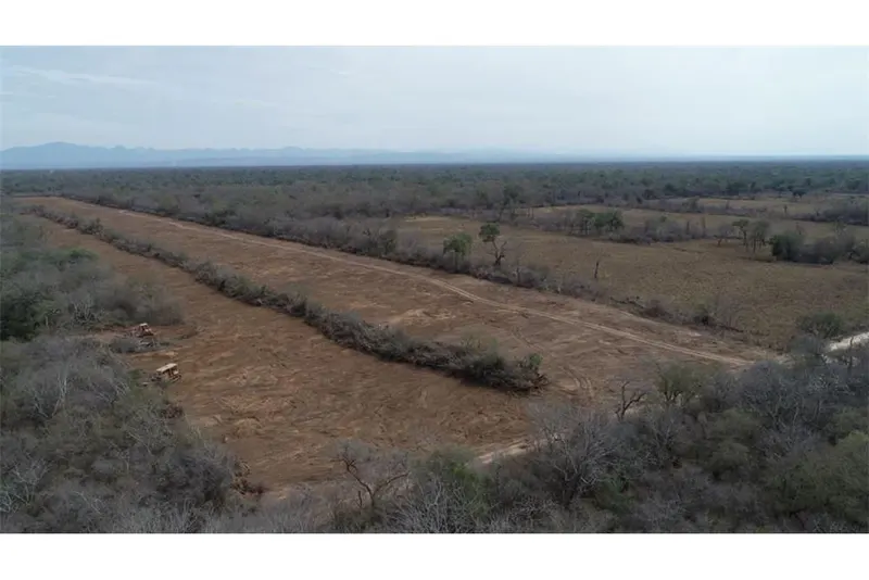 Foto 6 de Propiedad Ganadera en Venta Abapó
