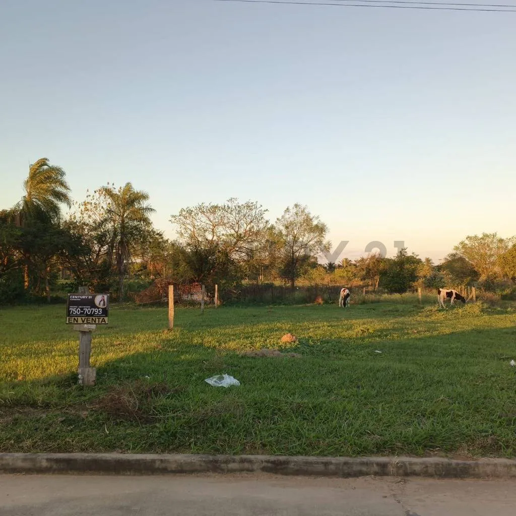 Foto 2 de Terreno en Venta Zona Norte